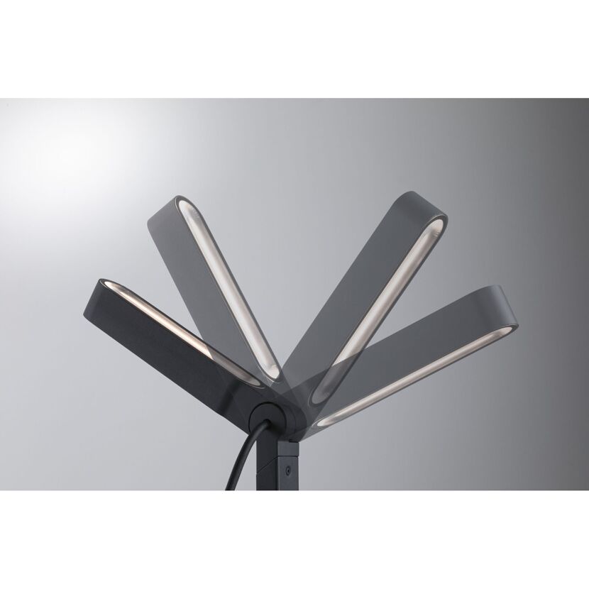 Schwarzer Plug & Shine ITO Spot vertikal