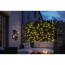 Lichterkette 'Plug & Shine warmweiß' 7,5 m schwarz