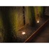Beleuchtete Gräser im Beet mit Plug & Shine Floor  EBL Set