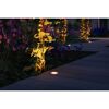 Beleuchtete Holzterrasse mit Plug & Shine Spotleuchten