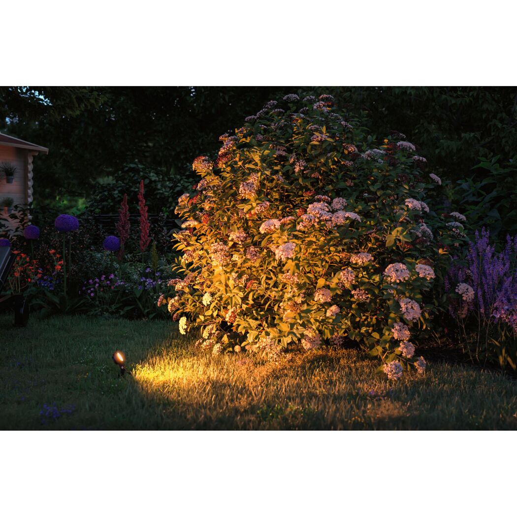 Beleuchteter Busch im Garten mit Plug & Shine Sting Spotleuchte