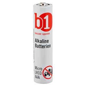 Batterien Alkaline Micro LR03 AAA 24 Stück