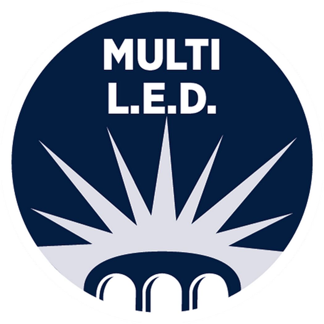 Multi LED-Taschenlampe