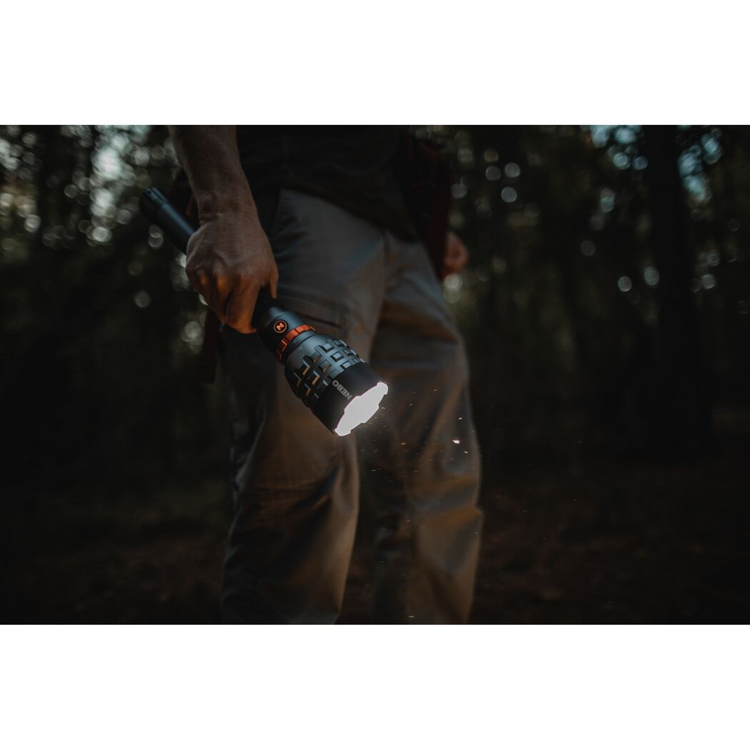 Person leuchtet mit LED-Taschenlampe Davinci