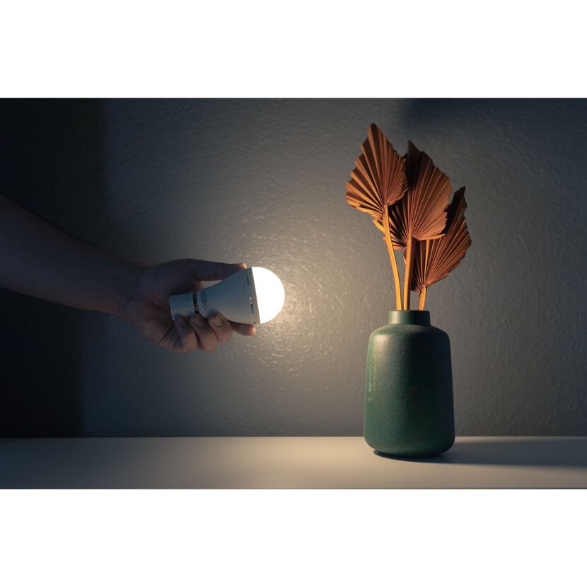 Person hält eine leuchtende LED-Leuchte von Nebo