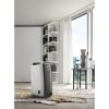 DeLonghi Luftentfeuchter in einem Wohnzimmer