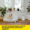 Hund liegt neben dem Kärcher Luftreiniger AF 20.