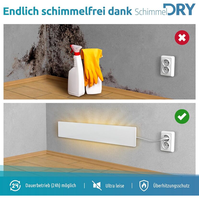 Schimmelentfernung mit Schimmel DRY