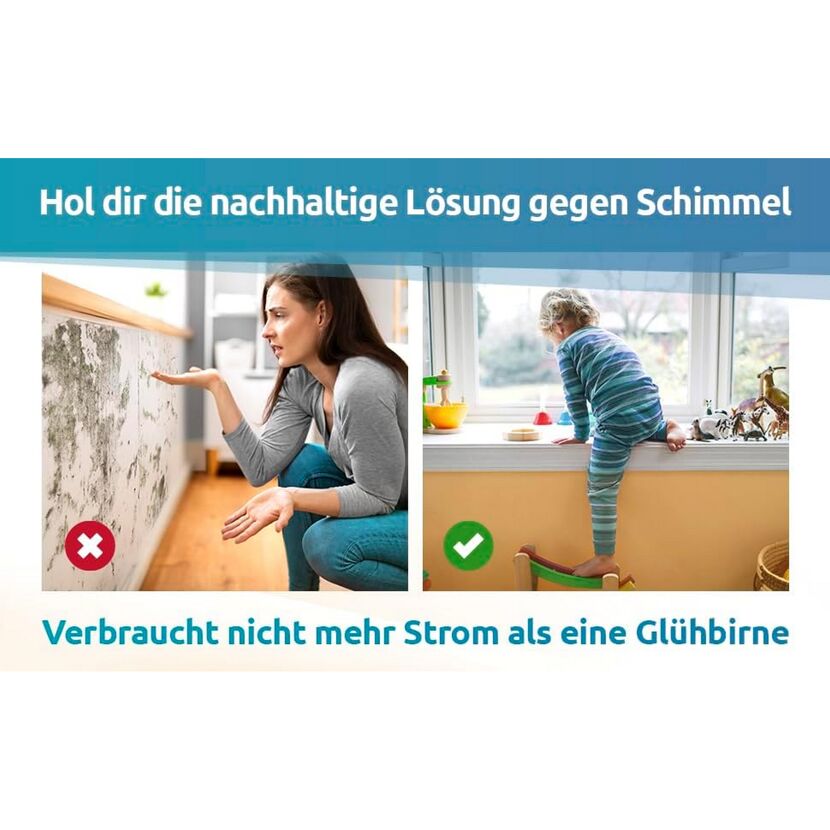 Schimmelentfernung