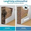 Schimmelentfernung aus der Wand