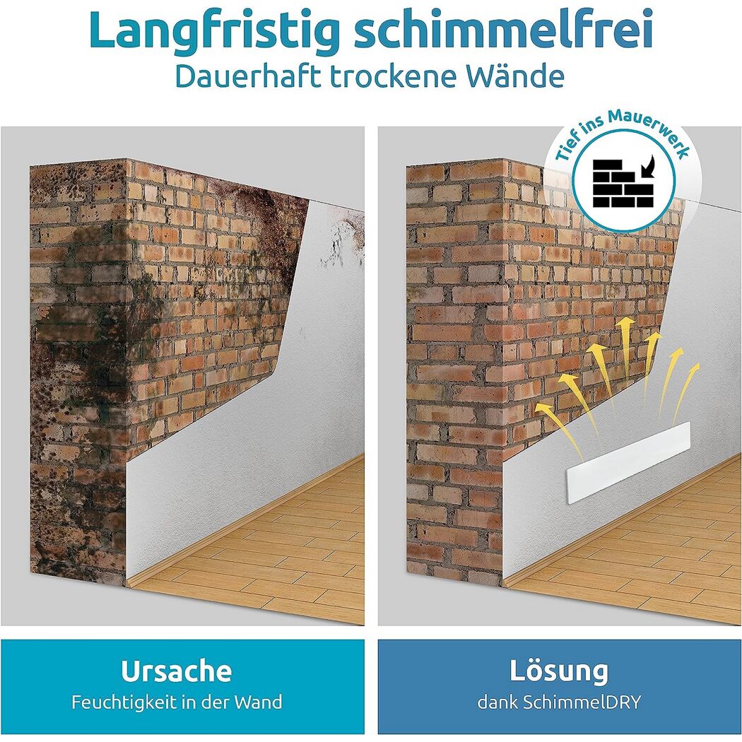 Schimmelentfernung aus der Wand