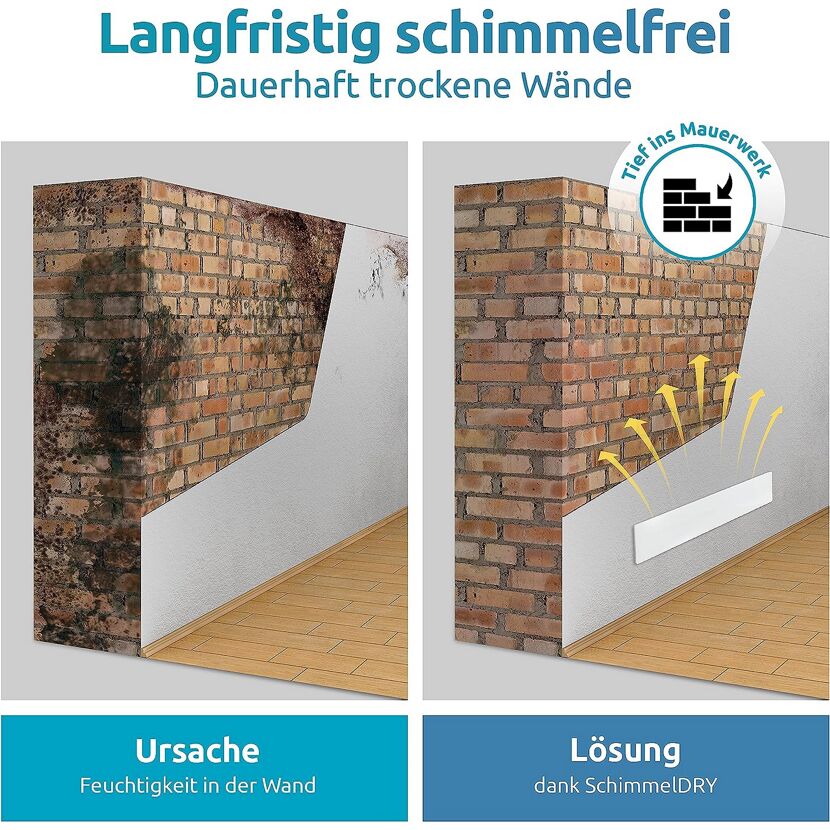 Schimmelentfernung aus der Wand