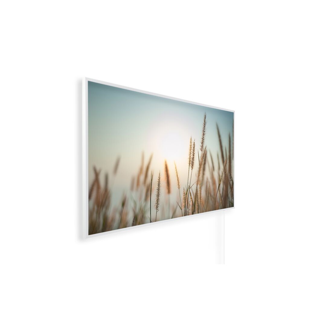 Leuchtbild Gräser im Sonnenuntergang
