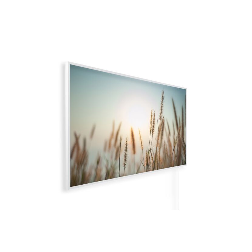 Leuchtbild Gräser im Sonnenuntergang