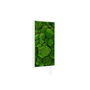 Infrarot-Wandheizung 'Ambienteline' Moos 800 W 60 x 100 cm