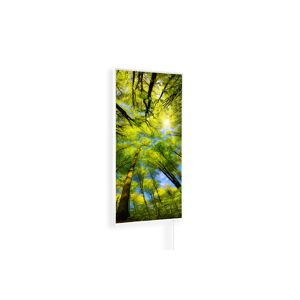 Infrarot-Wandheizung 'Ambienteline' Sonnenlicht 800 W 60 x 100 cm