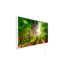 Infrarot-Wandheizung 'Ambienteline' Waldlichtung 800 W 60 x 100 cm