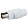 Weißer Koaxialstecker