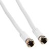 Zwei weiße Antennenkabel mit F-Stecker