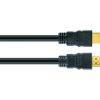 Schwarzes HDMI-Kabel