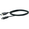 Schwarzes USB 3.1 C auf USB 3.0 A Adapterkabel