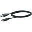 Schwarzes USB 3.1 C auf USB 3.0 A Adapterkabel