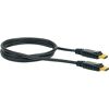Schwarzes DisplayPort Kabel