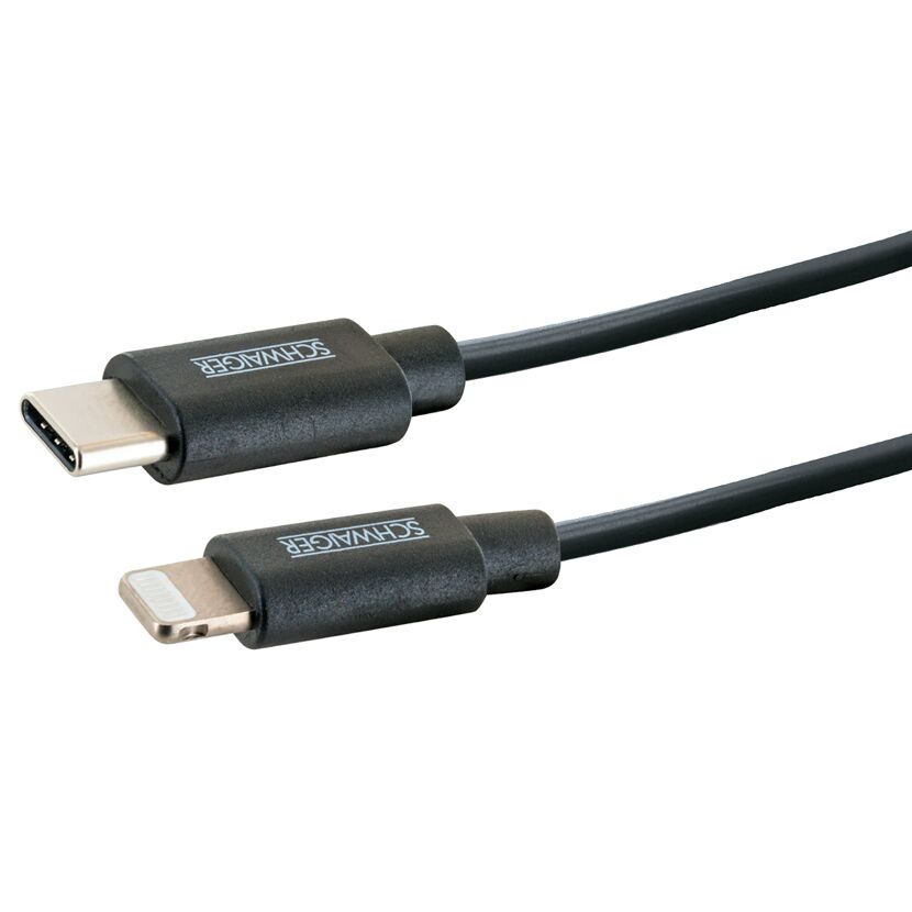 Schwarzes USB-auf-Lightning-Kabel