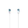 Zwei weiße Netzwerkkabel mit blauen Steckern.