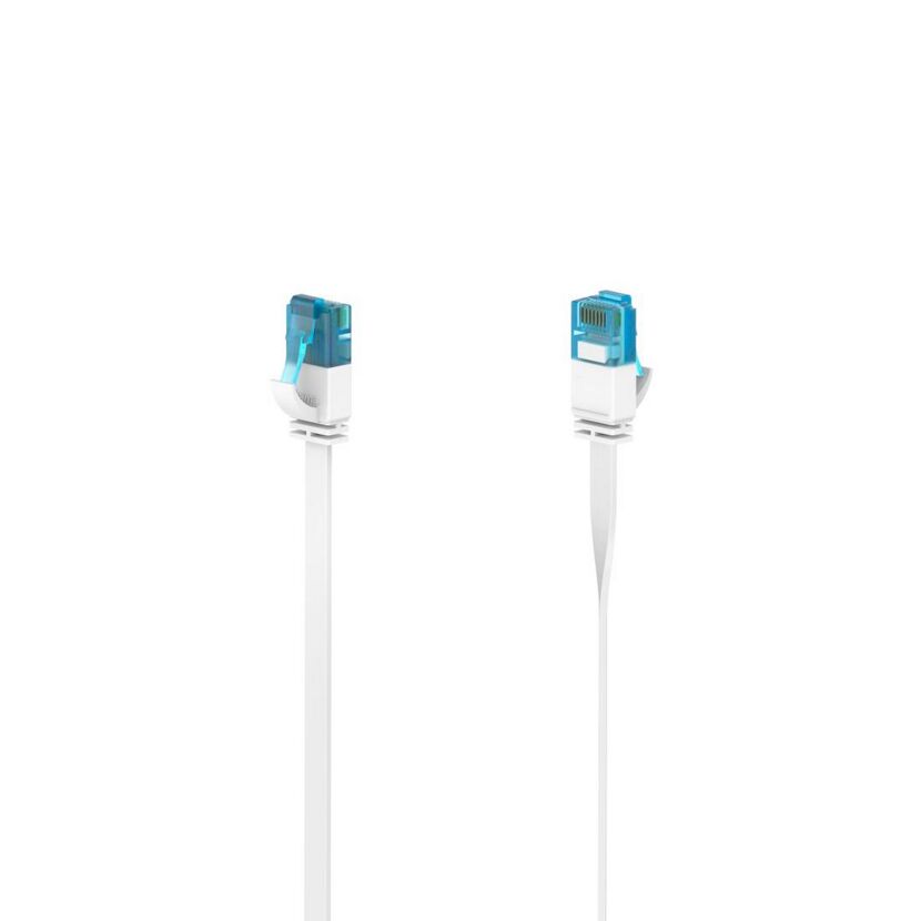 Zwei weiße Netzwerkkabel mit blauen Steckern