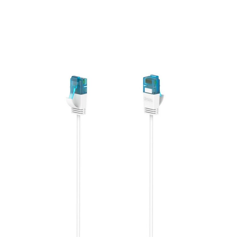 Zwei weiße Netzwerkkabel mit blauen Anschlüssen