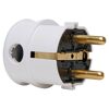 Weißer Winkelstecker