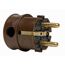 Brauner Winkelstecker