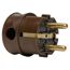 Brauner Winkelstecker