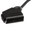 Ein schwarzer SCART-Verteiler