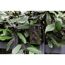 Wildtier- und Überwachungskamera 'TX-69' camouflage, Full-HD