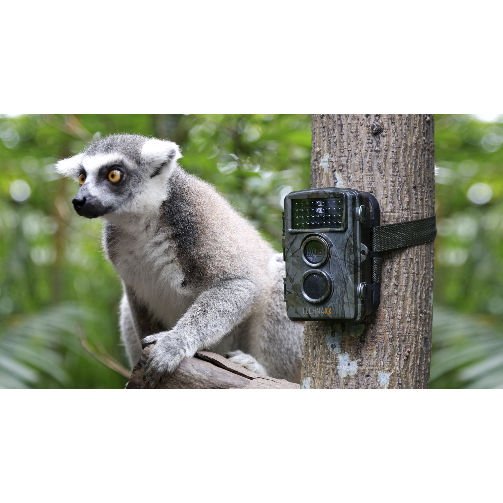 Wildtier- und Überwachungskamera 'TX-69' camouflage, Full-HD + product picture