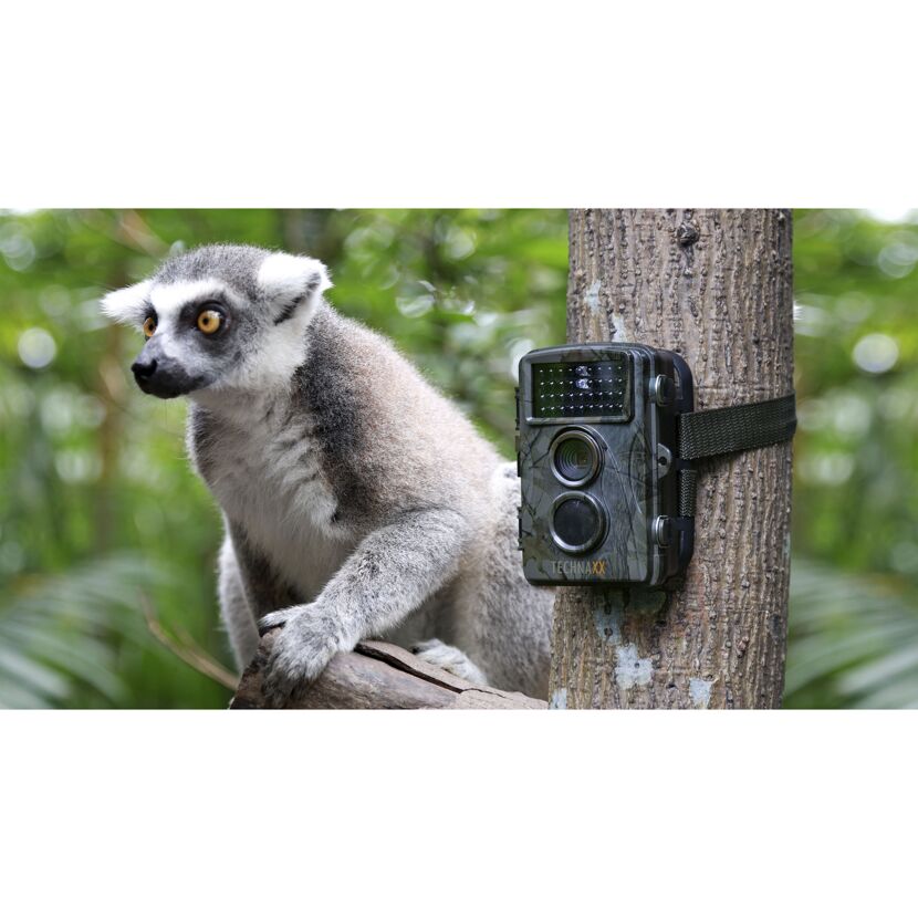 Wildtier- und Überwachungskamera 'TX-69' camouflage, Full-HD