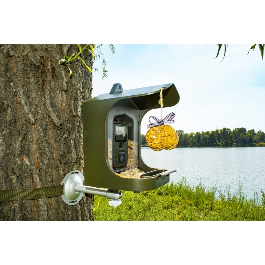 Vogelhaus mit Kamera und Meisenknödel am Baum.