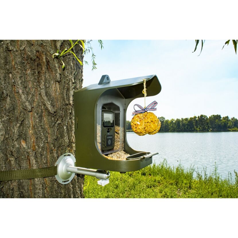 Vogelhaus mit Kamera und Meisenknödel am Baum.