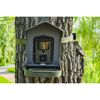 Wildkamera TECHNNAXX an Baum befestigt