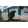 Spatz auf einem Geländer, im Hintergrund ein Gebäude