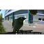Verkleinertes Bild von Vogelkamera 'TX-165' Full-HD Birdcam inkl. Futterbehälter