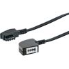 Schwarzes Telefonkabel mit zwei Anschlüssen