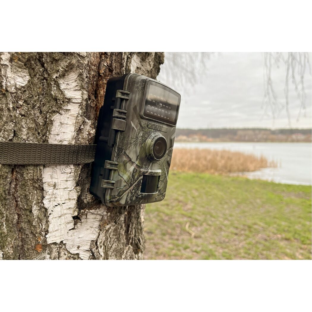 Getarnte Wildkamera an Baum befestigt