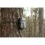 Wildkamera an einem Baum