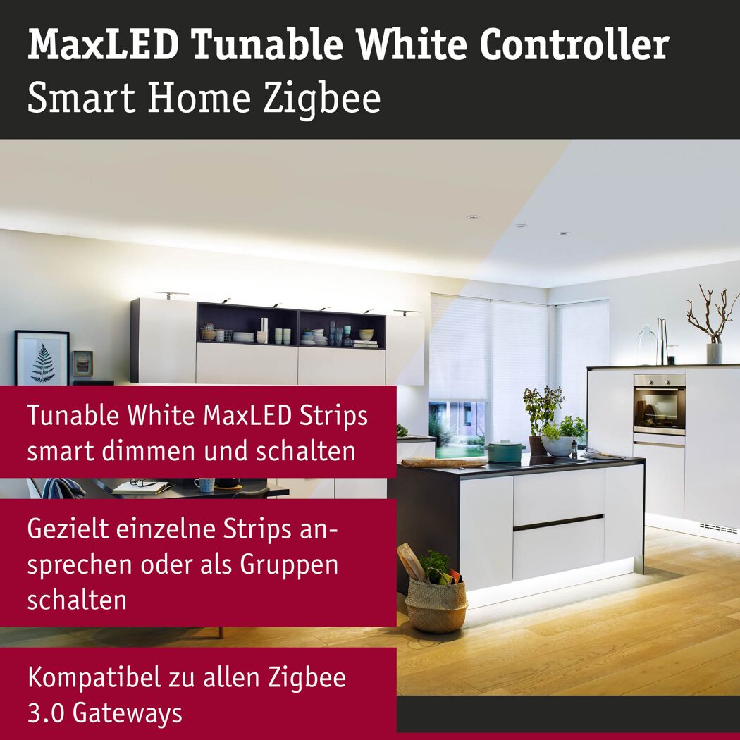 Schalter 'Smart Home MaxLED' Tunable White Control max. 144 W 24 V weiß/grau
