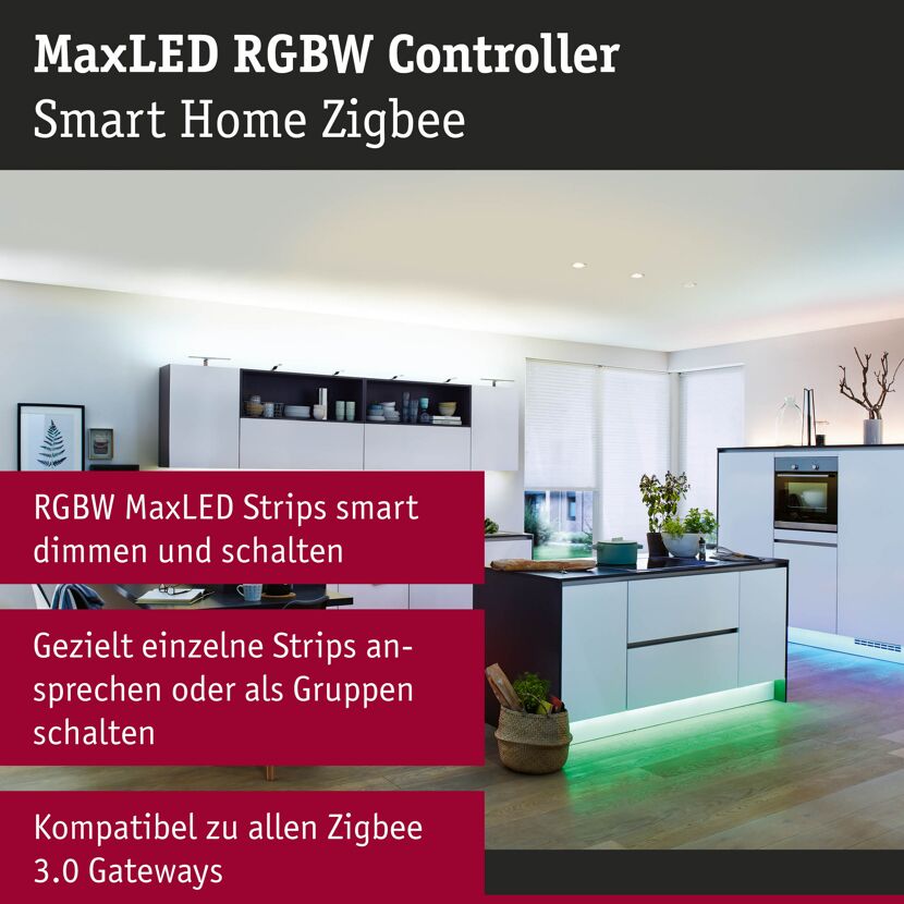 RGBW-Controller 'SmartHome MaxLED' max. 144 W 24 V weiß/grau