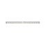 Function MaxLED 1000 Strip 1 m Warmweiß 13,5 W 24 V Silber
