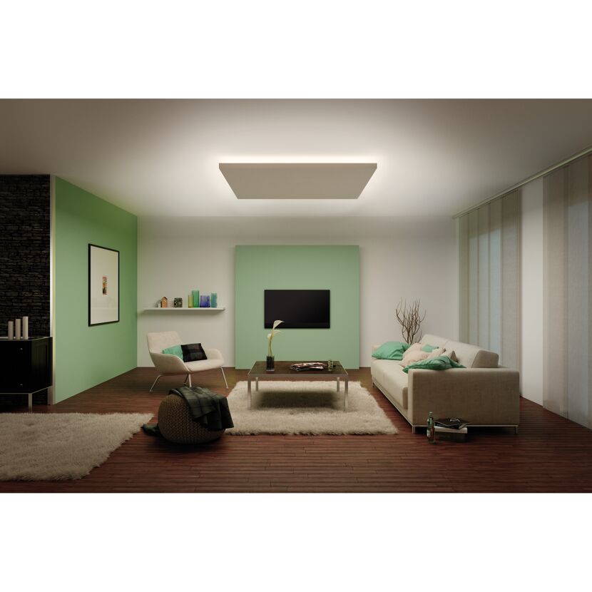 Function MaxLED 1000 Strip 1 m Warmweiß 13,5 W 24 V Silber